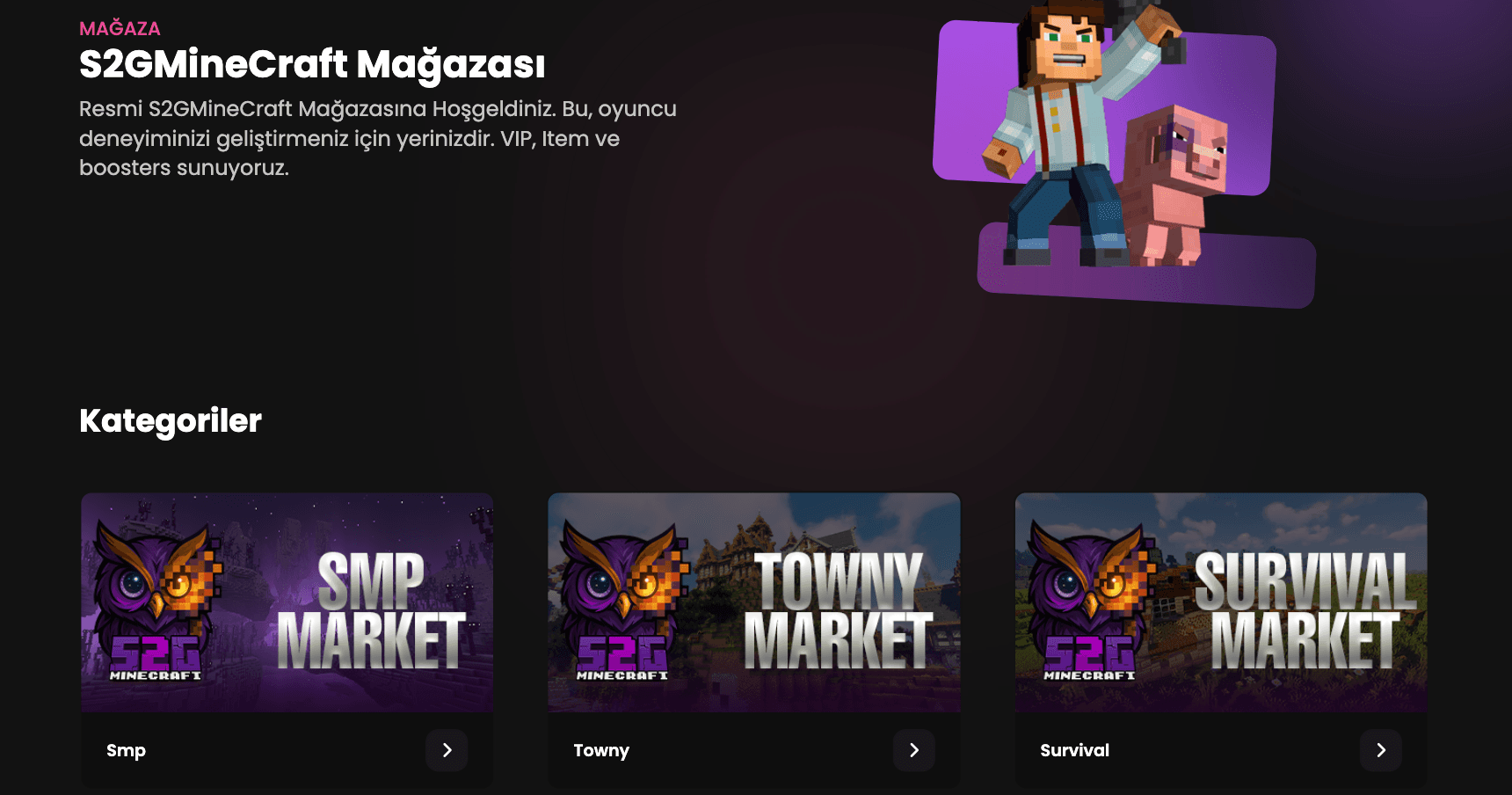 S2G eCommerce Platform detail 2